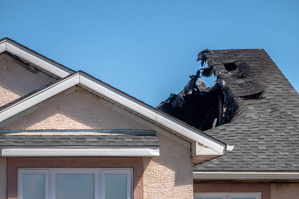 Top rated local Fire Board Up specialists in Terra Ceia, FL